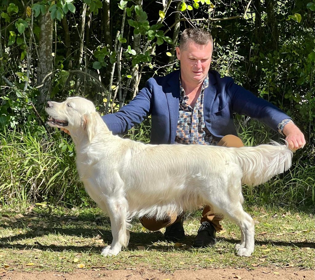Dog picture