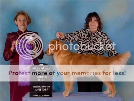 Dog picture
