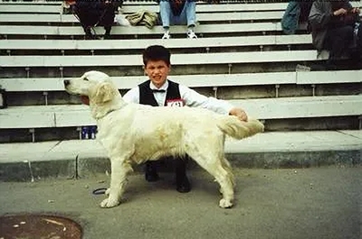 Dog picture