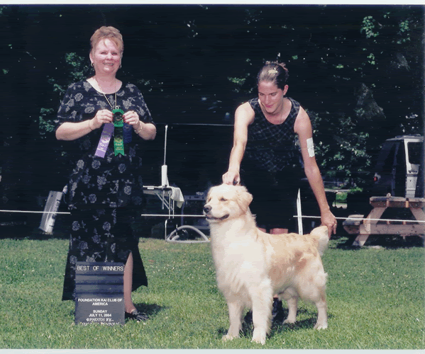 Dog picture