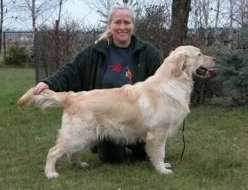 Dog picture