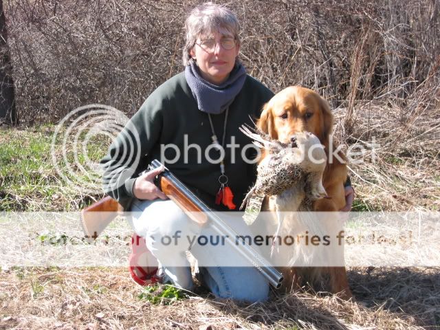 Dog picture