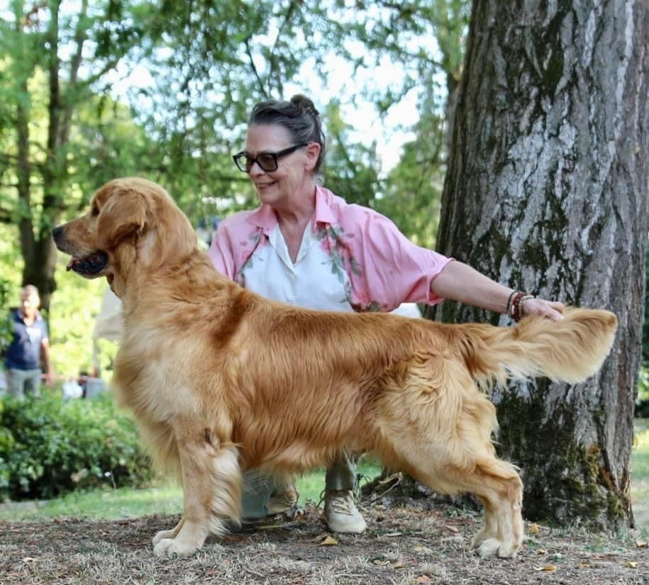 Dog picture