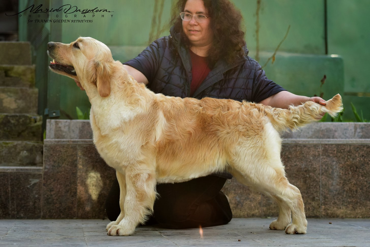 Dog picture