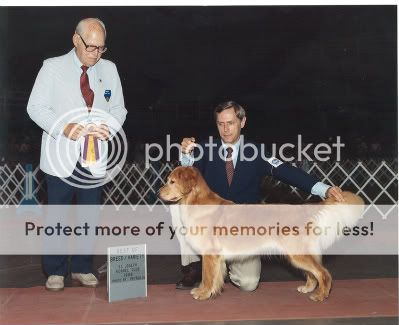 Dog picture