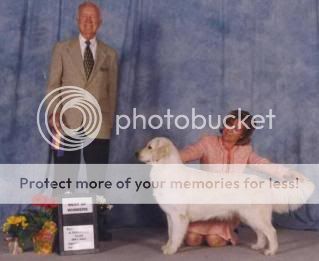 Dog picture