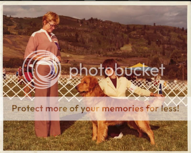 Dog picture