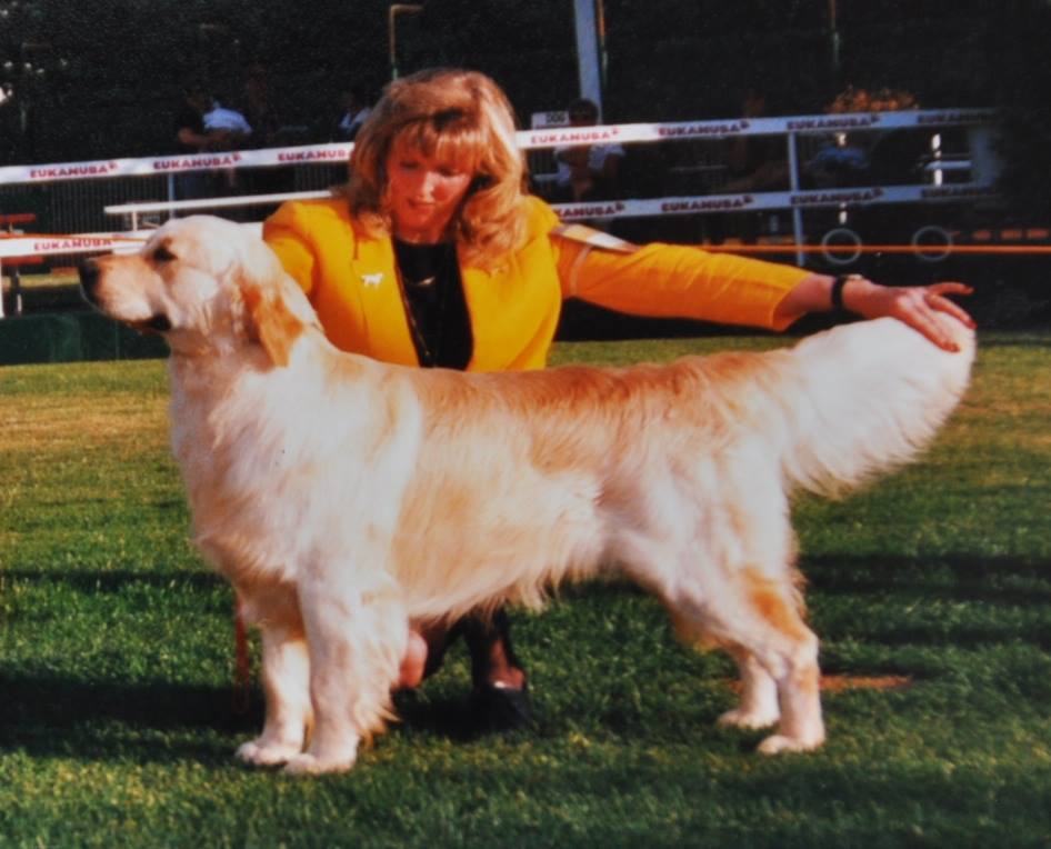 Dog picture