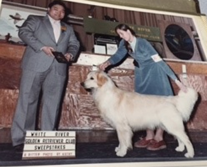 Dog picture