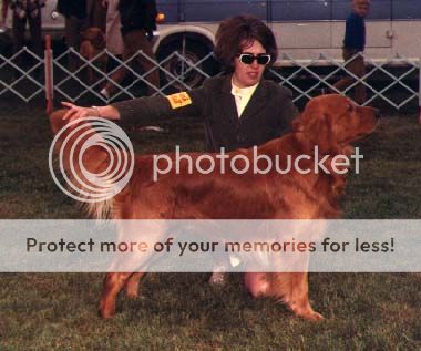 Dog picture