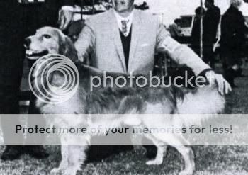 Dog picture
