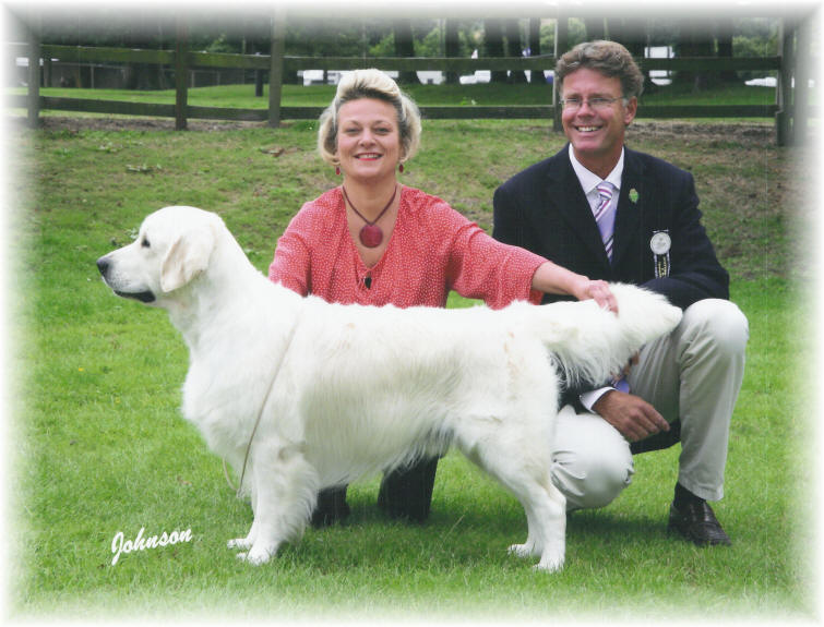 Dog picture