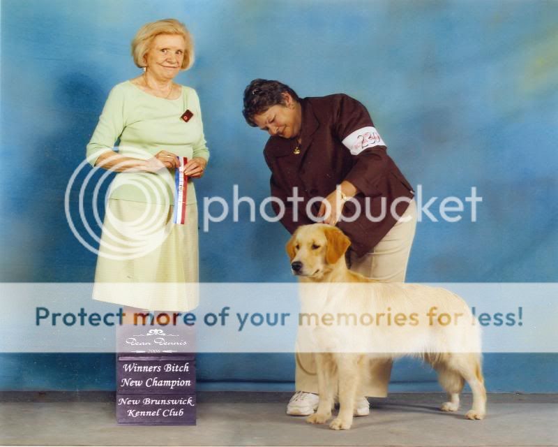 Dog picture