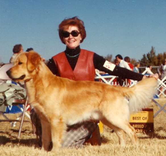 Dog picture