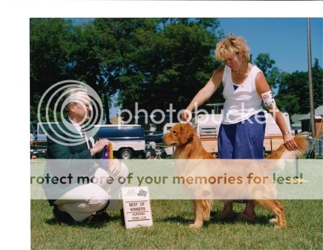 Dog picture