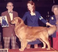 Dog picture