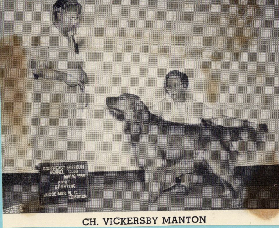 Dog picture