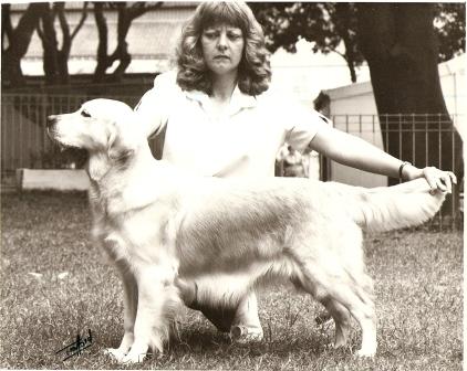 Dog picture
