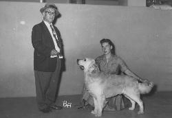 Dog picture