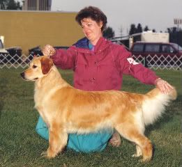 Dog picture