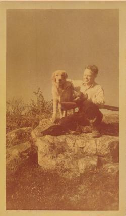 Dog picture