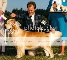 Dog picture