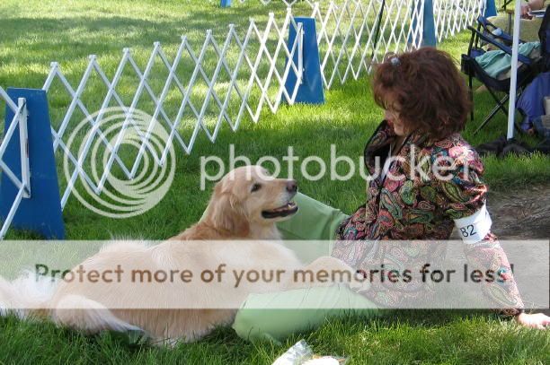 Dog picture