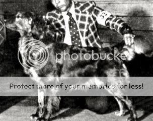 Dog picture