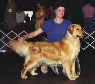 Dog picture