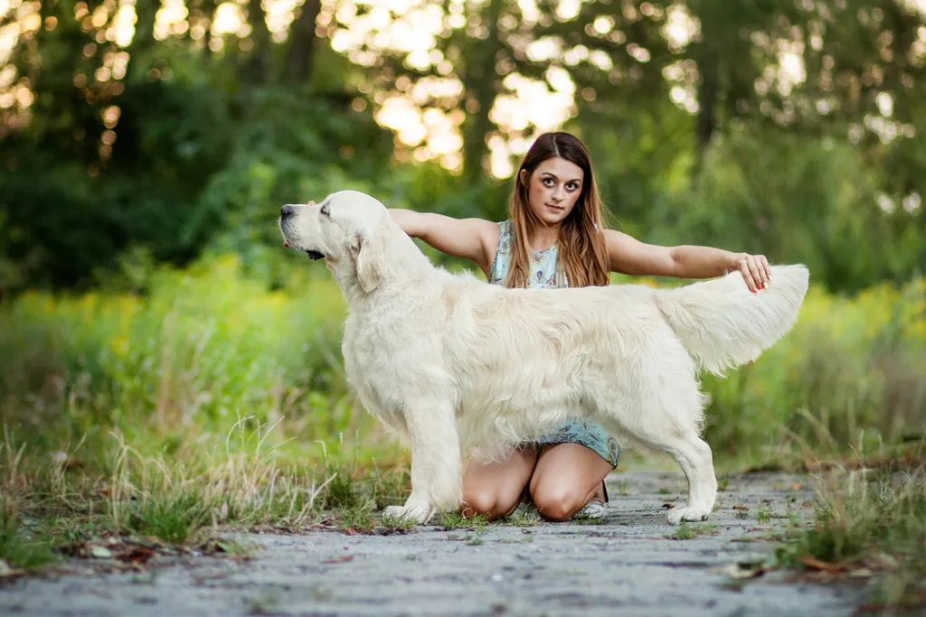 Dog picture