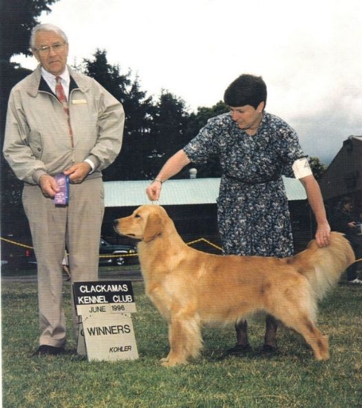Dog picture