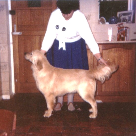 Dog picture