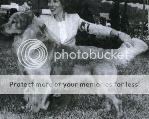 Dog picture