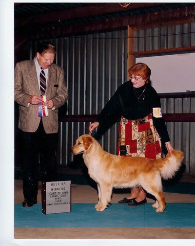 Dog picture