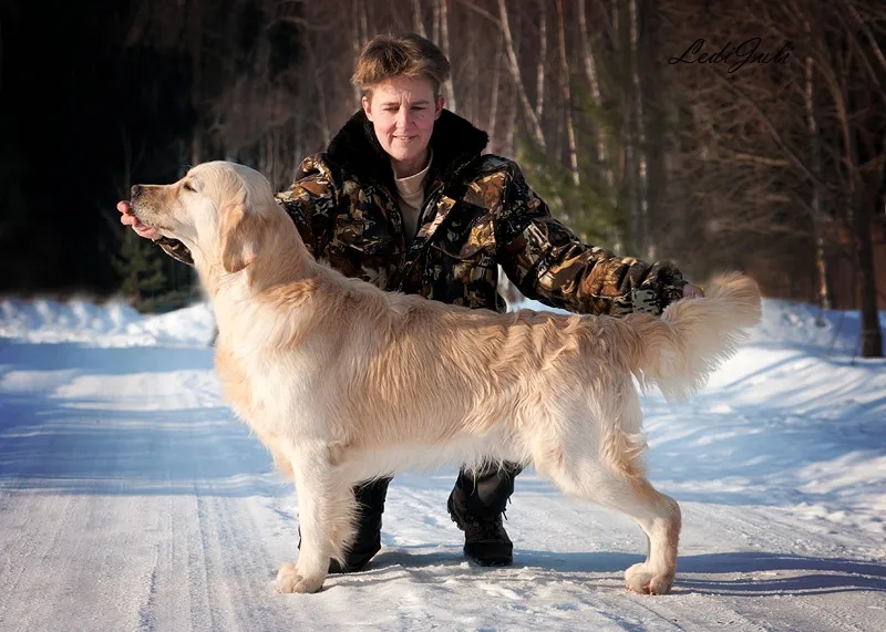 Dog picture
