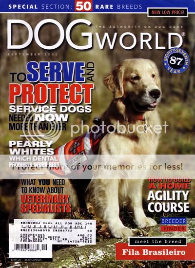 Dog picture