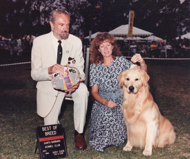 Dog picture