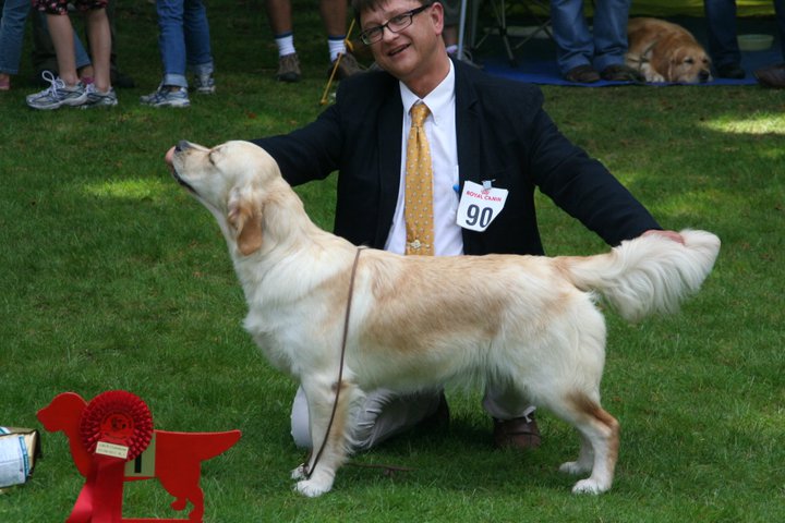 Dog picture