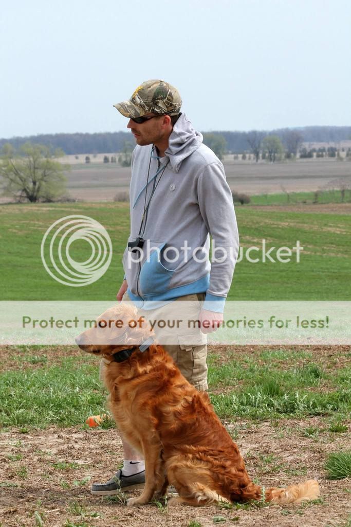Dog picture