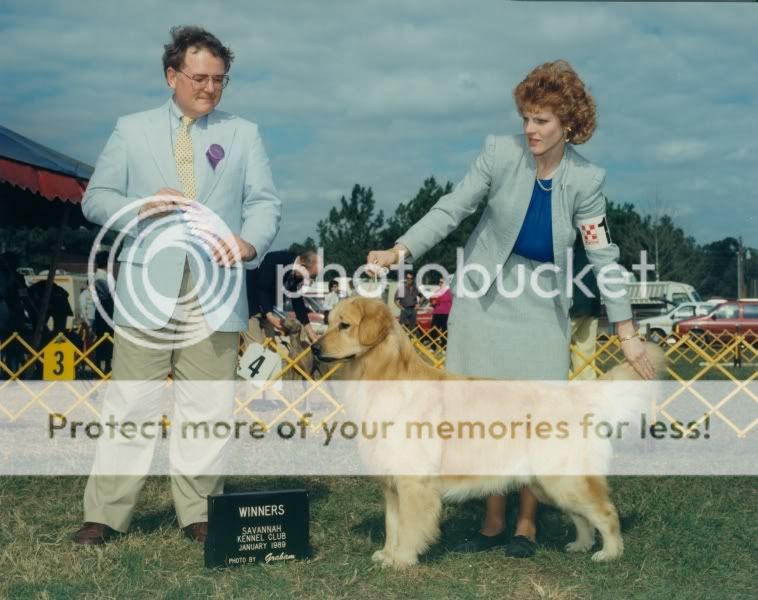 Dog picture