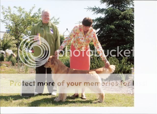 Dog picture