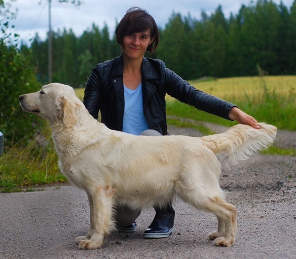 Dog picture