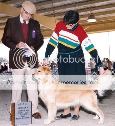 Dog picture