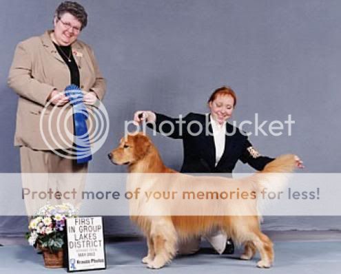 Dog picture