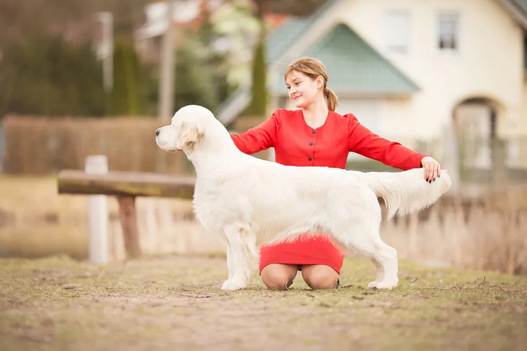 Dog picture