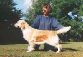 Dog picture