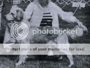 Dog picture
