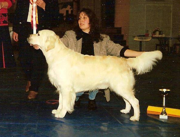 Dog picture