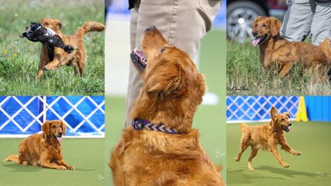 Photo of Wynwood Check Yes Or No