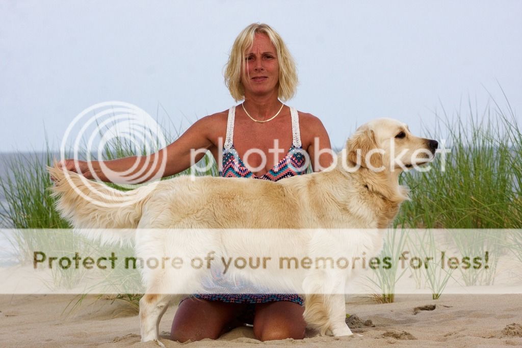 Dog picture